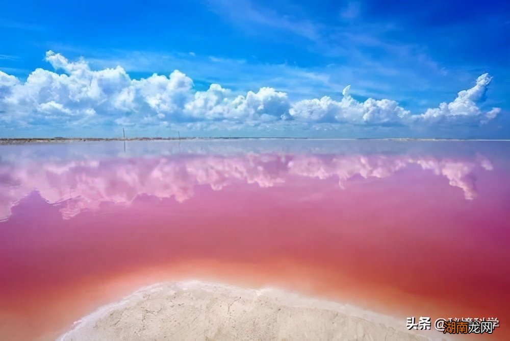 粉色代表着什么含义 什么颜色加什么颜色等于粉色