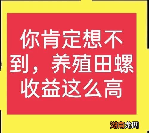 养殖田螺的前景及利润分析 田螺养殖一亩产多少斤