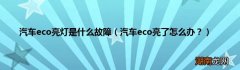 汽车eco亮了怎么办？ 汽车eco亮灯是什么故障