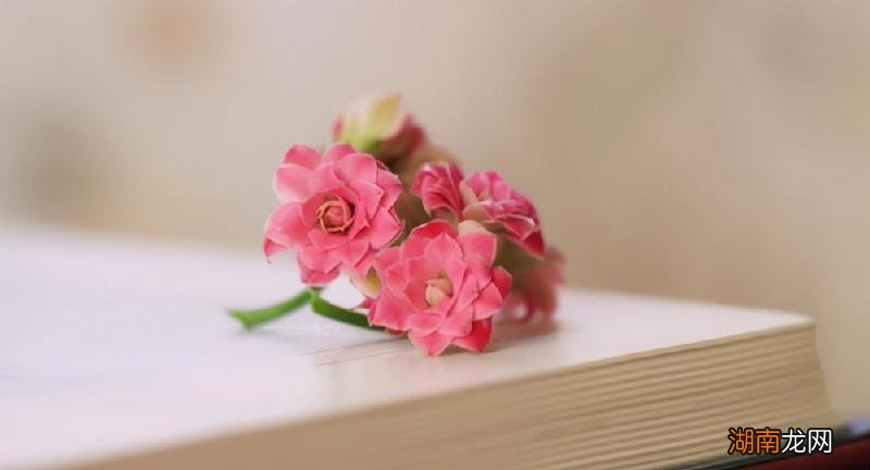 男生对你没意思的暗示 男生秒回但不主动联系是怎么回事