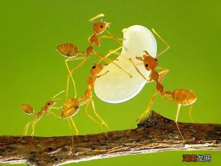 焦距的大小有什么区别 摄像头上的焦距是什么意思