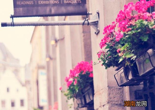 一个女人三种表现别不懂 有了外遇的女人有什么表现