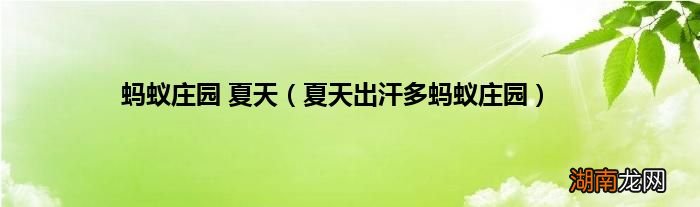 夏天出汗多蚂蚁庄园 蚂蚁庄园 夏天
