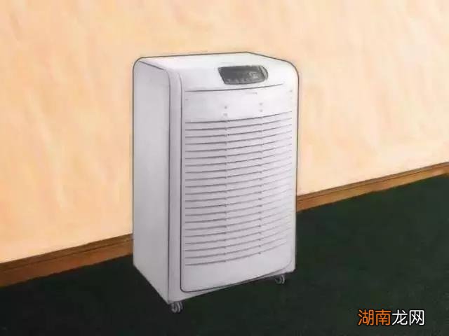 发现家里有跳蚤应该怎么做 家里放一物绝对没跳蚤