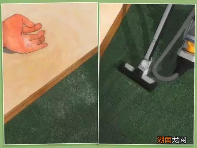 发现家里有跳蚤应该怎么做 家里放一物绝对没跳蚤