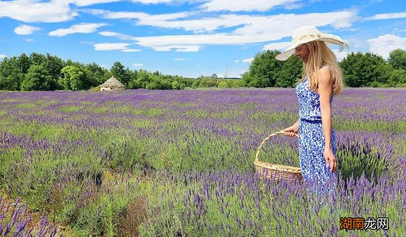 女人说我想你了回答技巧 女生说想你了怎么回复高情商