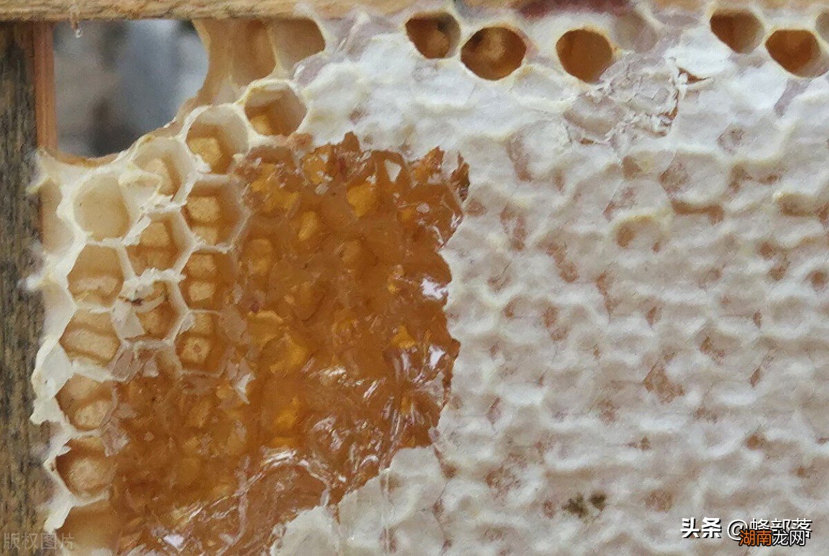 怎么鉴别蜂蜜是不是正宗好吃的 什么蜂蜜最好最纯正