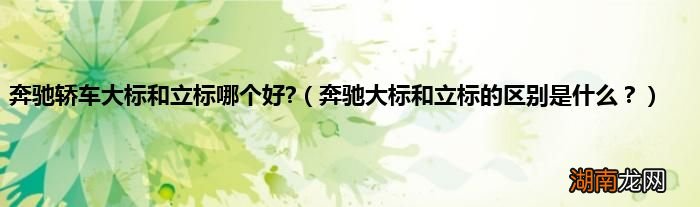奔驰大标和立标的区别是什么? 奔驰轿车大标和立标哪个好?