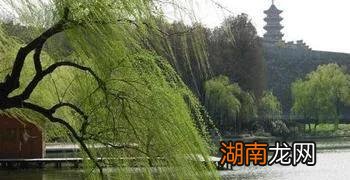 清明盛行荡秋千风俗的意义 清明节荡秋千的来历故事