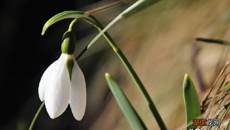 女孩说分手相忘于江湖不联系最好 相忘于江湖是分手吗