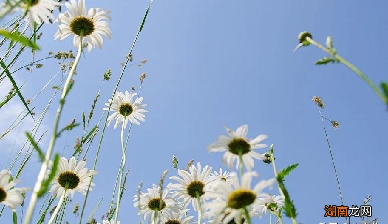 女孩说分手相忘于江湖不联系最好 相忘于江湖是分手吗