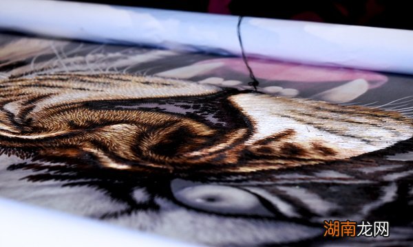 湖南省长沙市十大特产有哪些 湖南正宗的十大特产