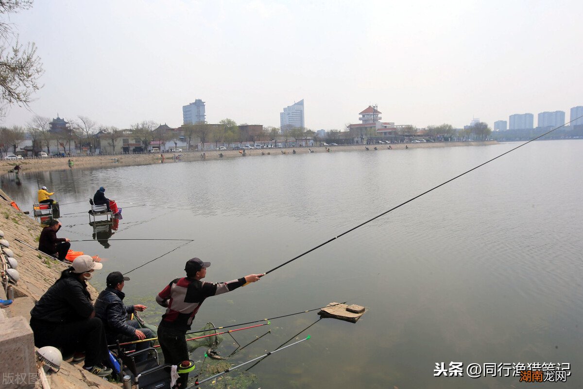 卵生和胎生有什么不同的地方 卵生和胎生的根本区别