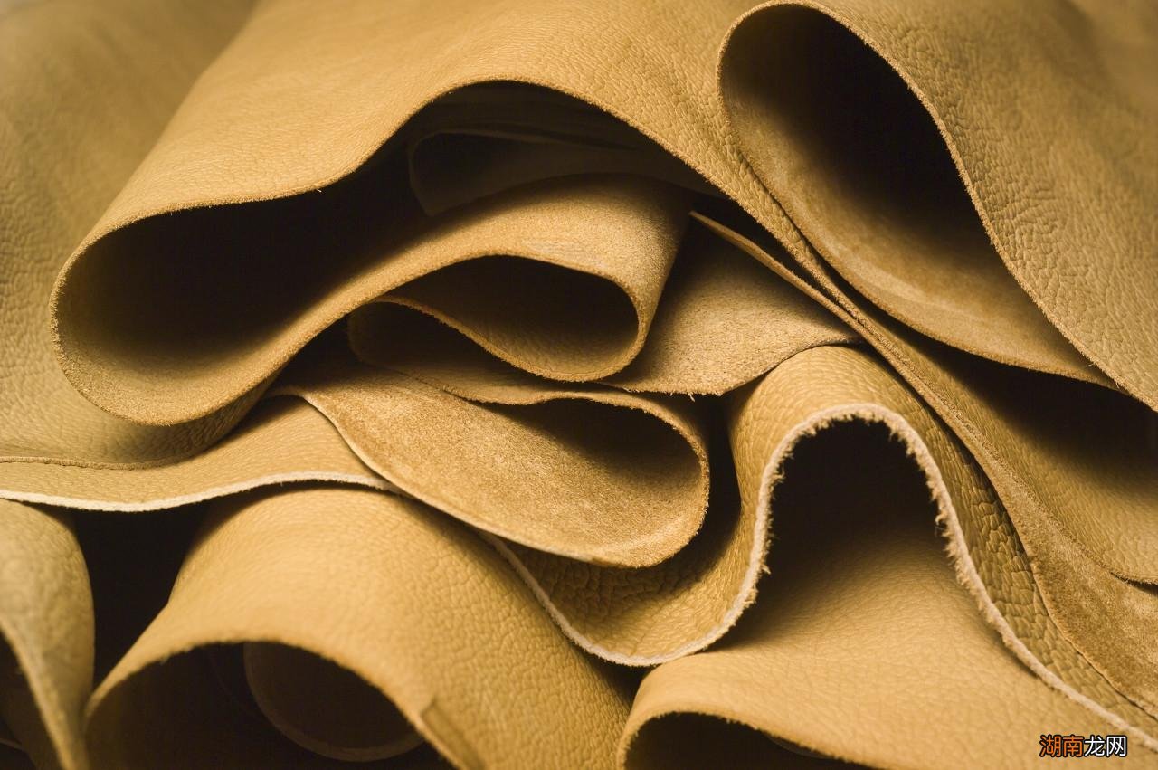 究竟哪个质量更好 头层皮和二层皮的区别图片