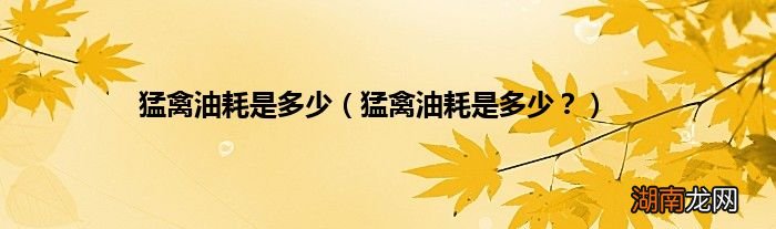 猛禽油耗是多少? 猛禽油耗是多少