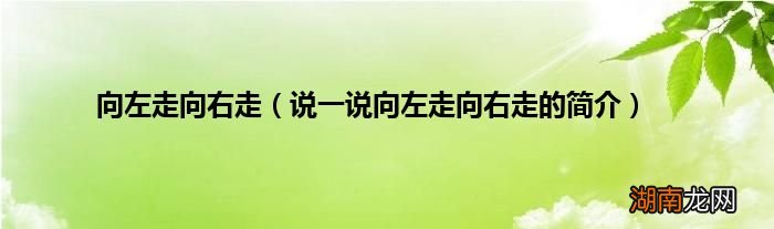 说一说向左走向右走的简介 向左走向右走
