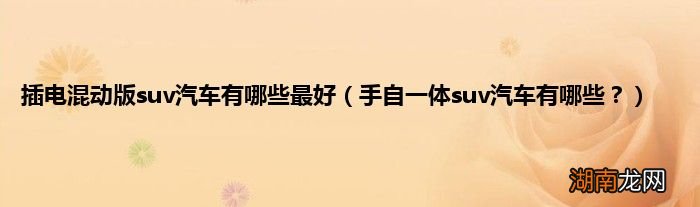 手自一体suv汽车有哪些? 插电混动版suv汽车有哪些最好