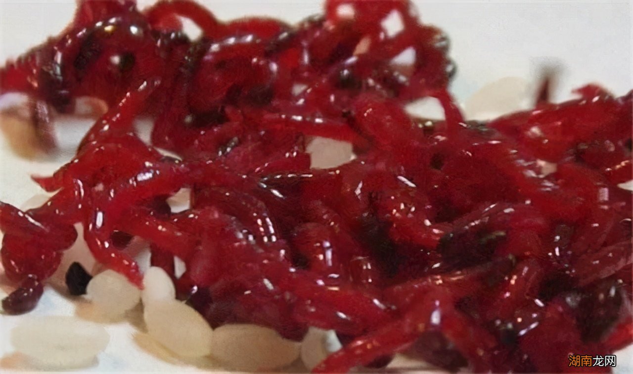 什么鱼饵料最适合野钓鲫鱼 钓鲫鱼用什么鱼饵最好