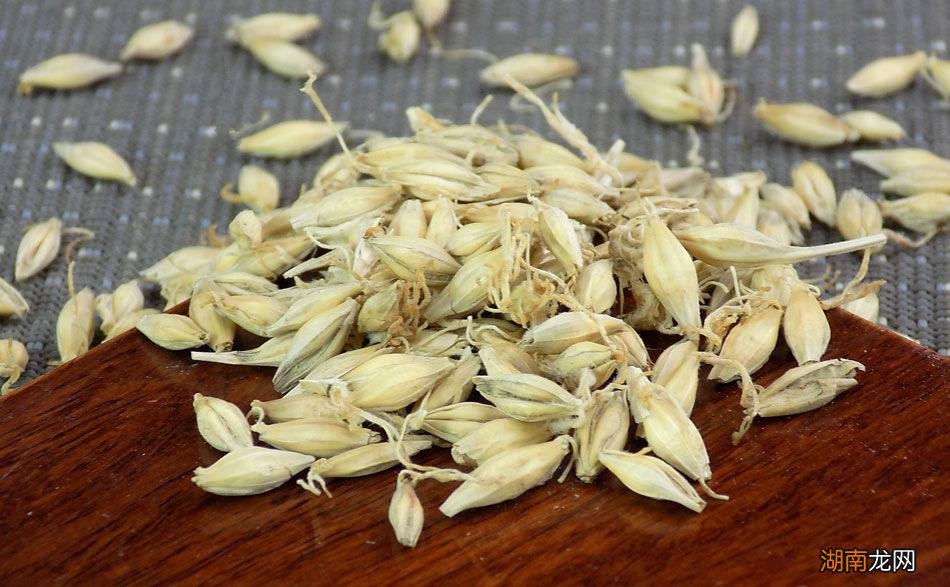 什么鱼饵料最适合野钓鲫鱼 钓鲫鱼用什么鱼饵最好