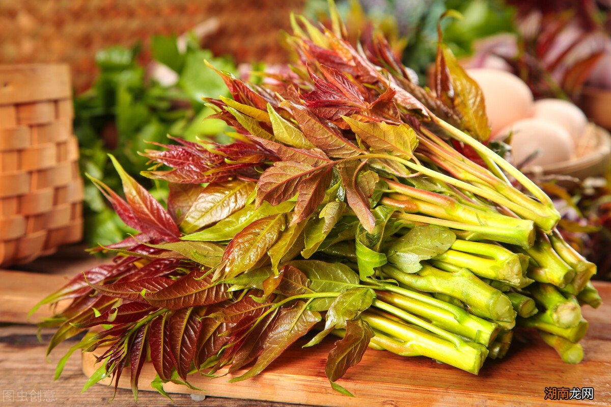 营养美味的十种野菜盘点 春天可以吃的十大野菜排名