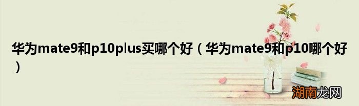 华为mate9和p10哪个好 华为mate9和p10plus买哪个好