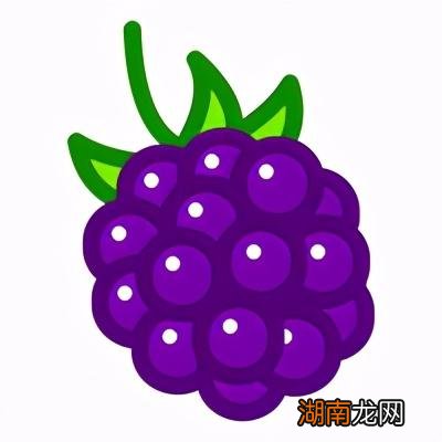 这16种高纤维食物建议经常吃 高纤维食物一览表图片