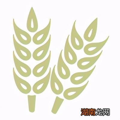 这16种高纤维食物建议经常吃 高纤维食物一览表图片