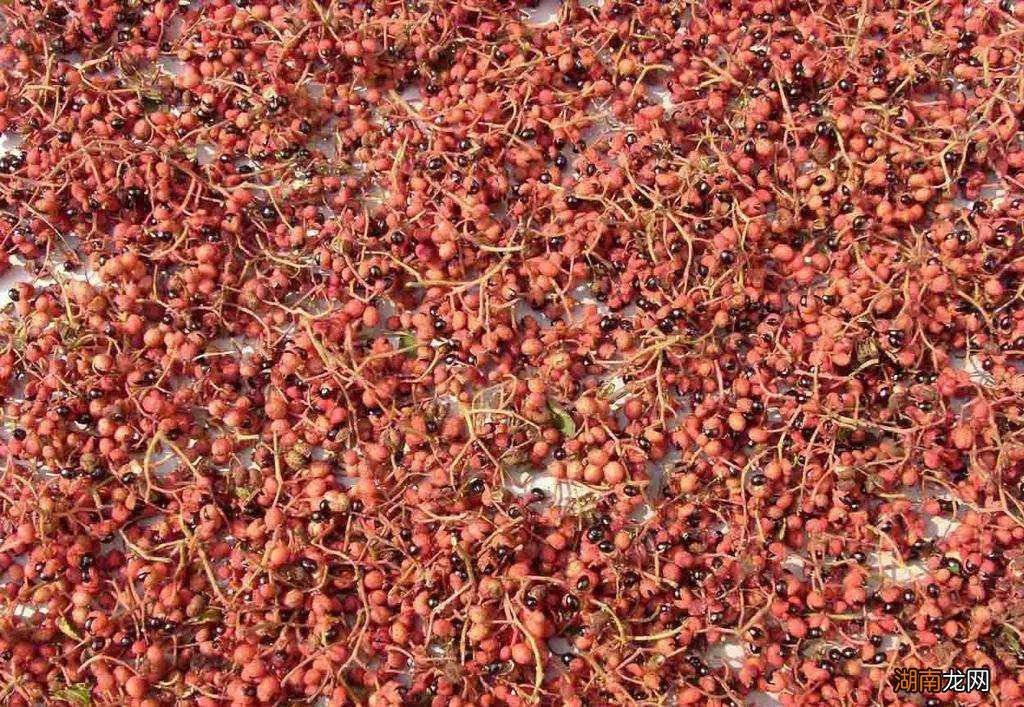 济南有哪些特产比较有名 到济南旅游带什么特产回家好