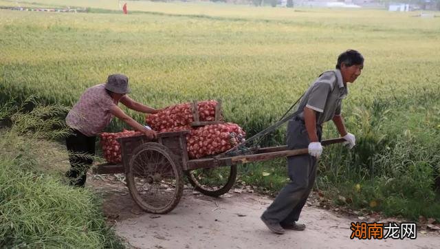 记恨父母的心理怎么解决 孩子对父母有仇恨心理怎么办