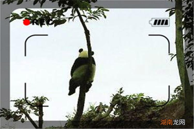 创业要忍得住折磨受得住寂寞 创业是一种什么样的过程