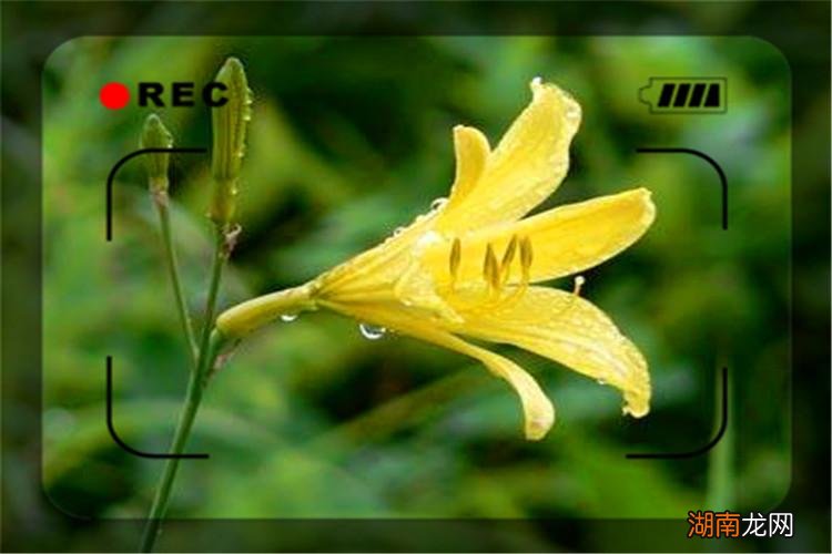 创业要忍得住折磨受得住寂寞 创业是一种什么样的过程