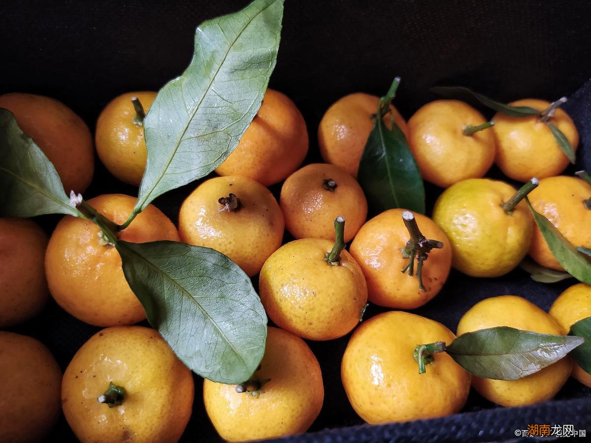 珠海特产必购物清单 珠海特产有哪些特产美食