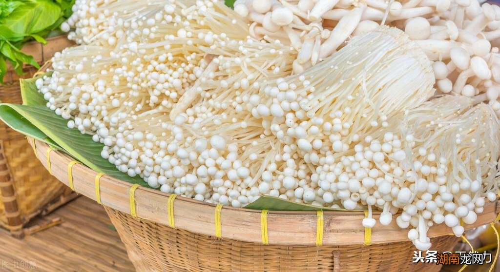 鲜蘑菇怎样长期保存不容易坏 香菇怎么保存新鲜不烂