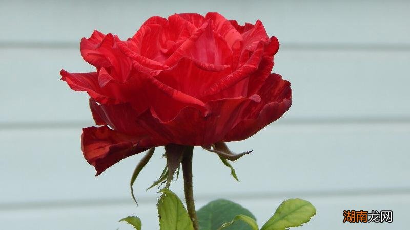 男孩子不回意味着逃避吗 一个男生不回微信代表什么意思