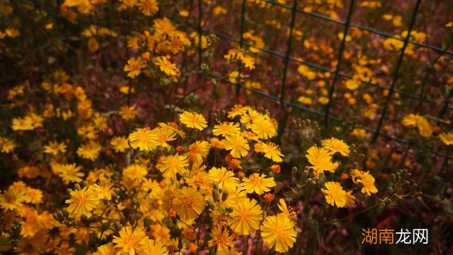 出轨后的表现征兆错不了 女人出轨后的30个表现