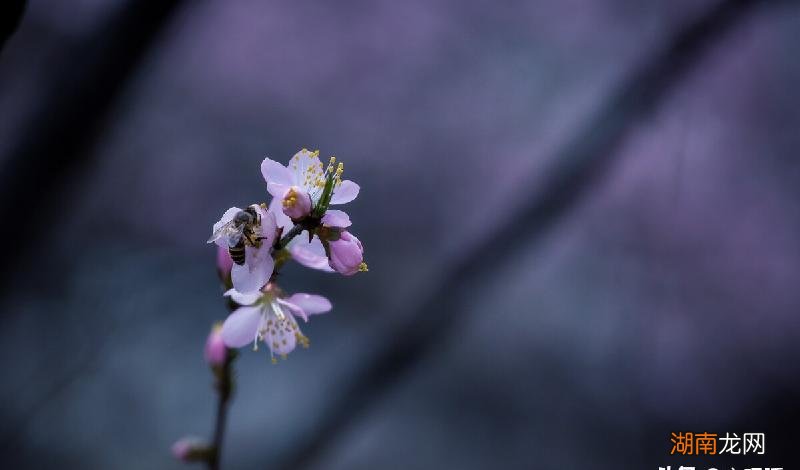 明显感觉到她对你的疏远 一个女人真正放下你的表现