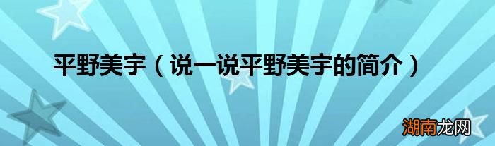 说一说平野美宇的简介 平野美宇