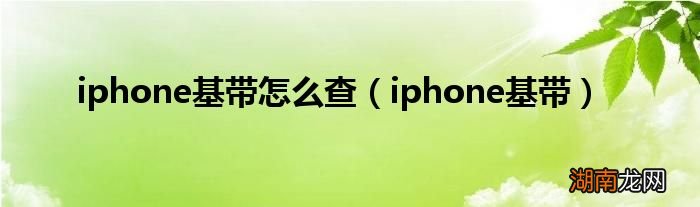 iphone基带 iphone基带怎么查