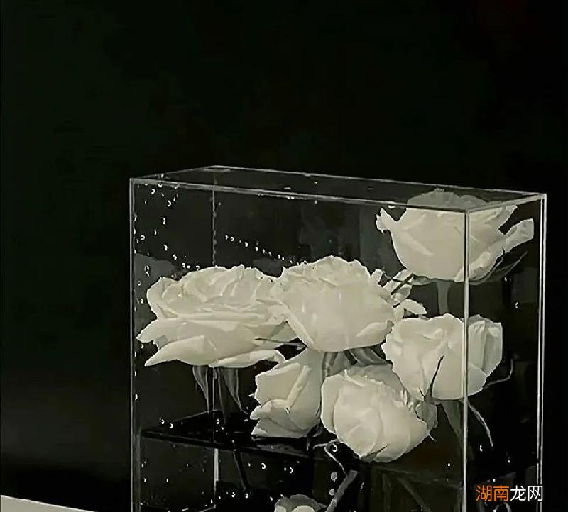 水瓶男心里越来越爱你的表现 水瓶男爱你的7个阶段