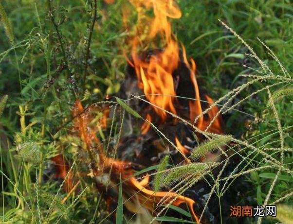 给死去的人烧纸钱真的有用吗 烧纸钱给去世的人能收到吗