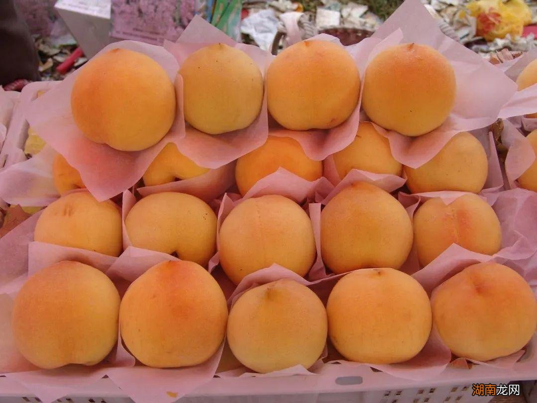 上海值得带回家送人的本地特产 上海特产排行榜前十名