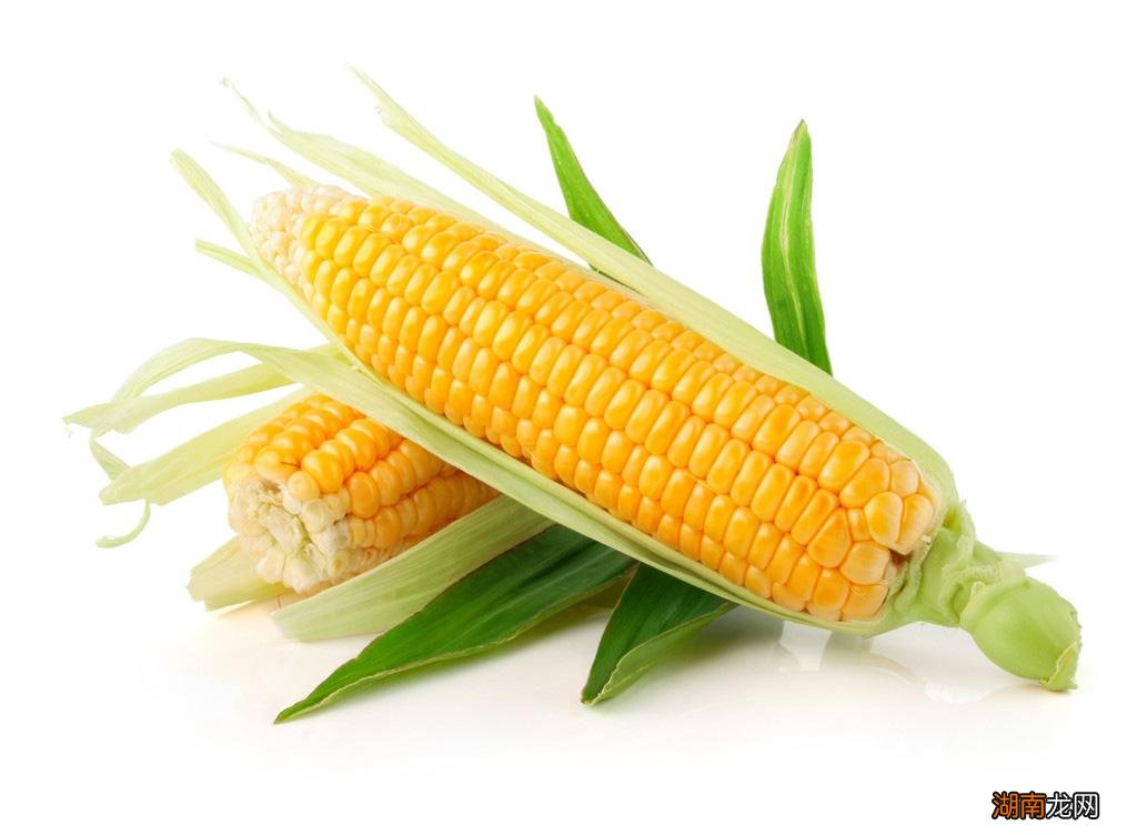 河北承德省十大好吃的特产盘点 承德特产有哪些值得购买