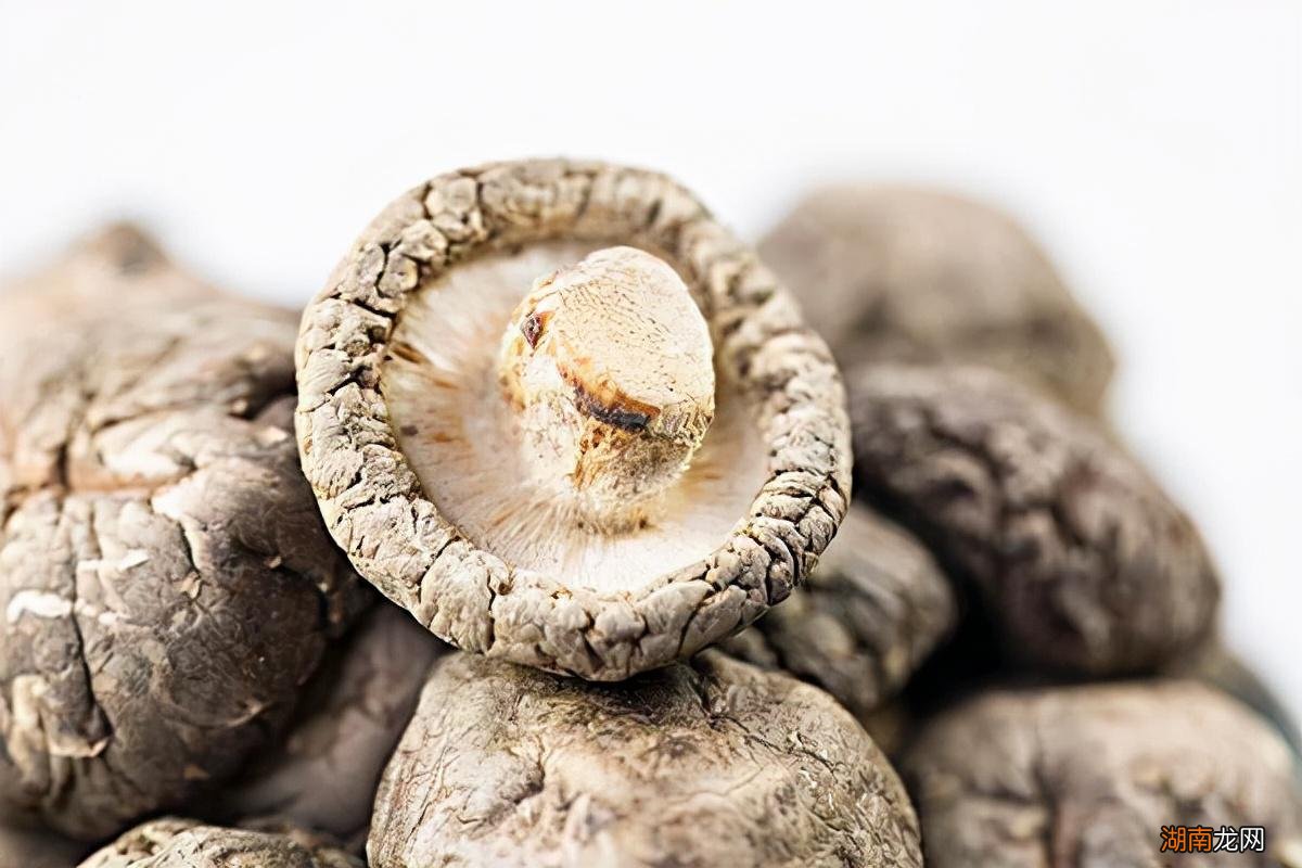 河北承德省十大好吃的特产盘点 承德特产有哪些值得购买