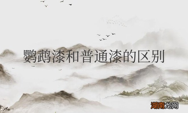 汽车鹦鹉漆和普通漆的区别