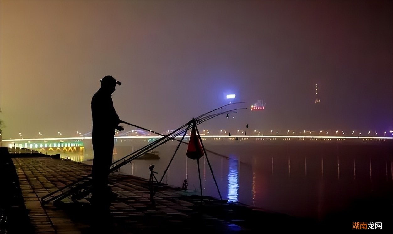 在夏季钓鱼需要注意什么问题 夏天夜钓钓深水还是浅水