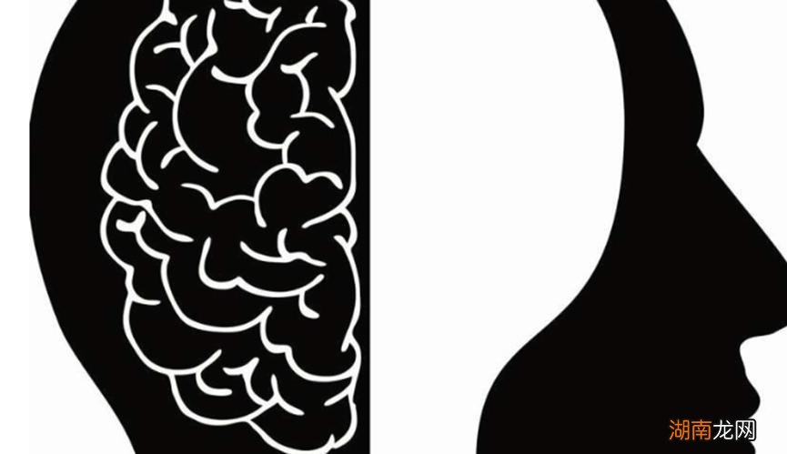 ?Airbnb房东应该依靠人工智能算法为他们编写个人资料吗