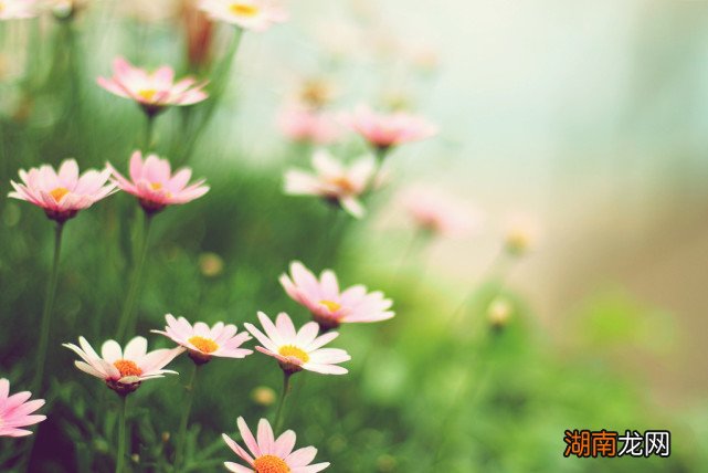 一个女人喜欢独处是什么样性格 喜欢独处的女生性格