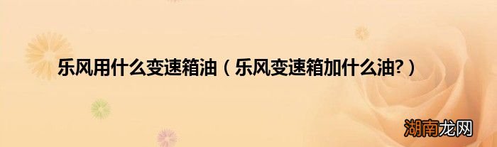 乐风变速箱加什么油? 乐风用什么变速箱油