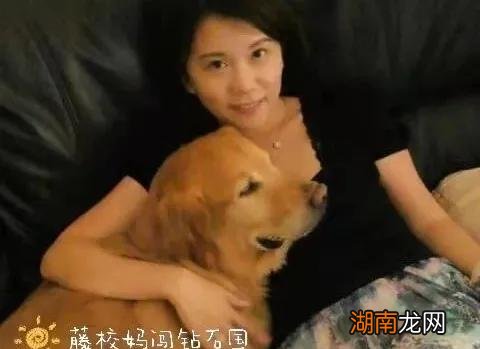 失去了最爱的宠物很难过走不出来 失去宠物太痛苦怎么办