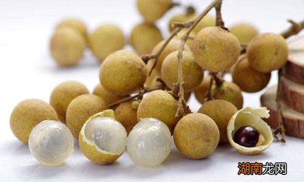 福建厦门特色美食小吃 厦门特产有哪些土特产小吃